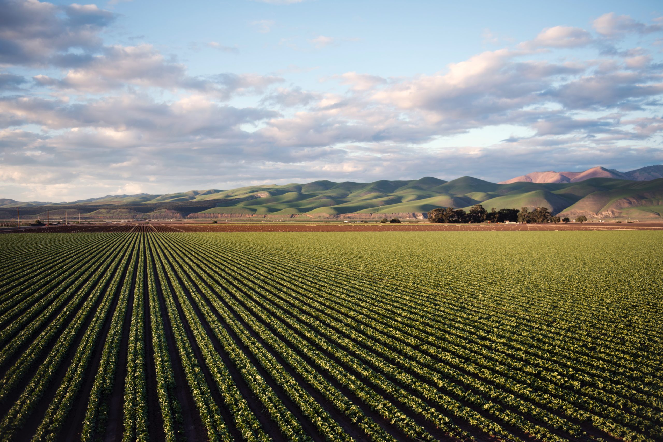 photo-of-green-field-near-mountains-974314 photo-of-green-field-near-mountains-974314